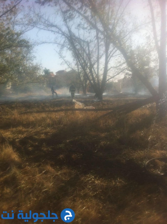حريق يلتهم حقل اشجار في جلجولية